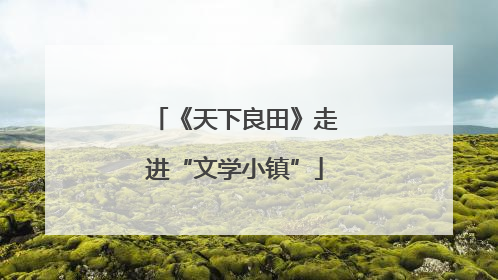 《天下良田》走进“文学小镇”