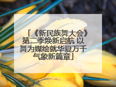 《新民族舞大会》第二季焕新启航 以舞为媒绘就华夏万千气象新篇章