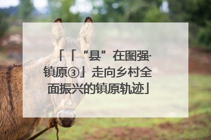 「“县”在图强·镇原③」走向乡村全面振兴的镇原轨迹