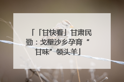 「甘快看」甘肃民勤：戈壁沙乡孕育“甘味”领头羊