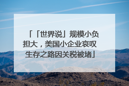 「世界说」规模小负担大，美国小企业哀叹生存之路因关税被堵