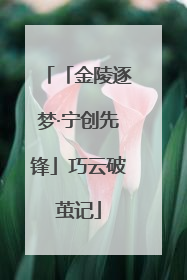 「金陵逐梦·宁创先锋」巧云破茧记