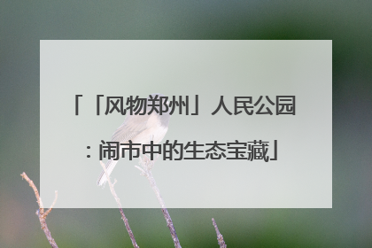 「风物郑州」人民公园：闹市中的生态宝藏