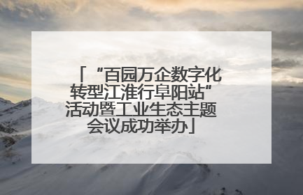 “百园万企数字化转型江淮行阜阳站”活动暨工业生态主题会议成功举办