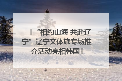 “相约山海 共赴辽宁”辽宁文体旅专场推介活动亮相韩国