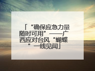 “确保应急力量随时可用”——广西应对台风“蝴蝶”一线见闻