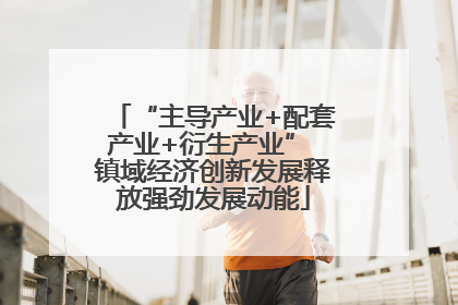 “主导产业+配套产业+衍生产业” 镇域经济创新发展释放强劲发展动能