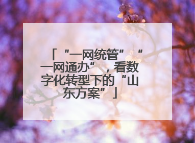 “一网统管”“一网通办”，看数字化转型下的“山东方案”
