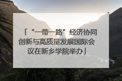 “一带一路”经济协同创新与高质量发展国际会议在新乡学院举办
