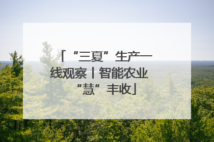 “三夏”生产一线观察丨智能农业“慧”丰收