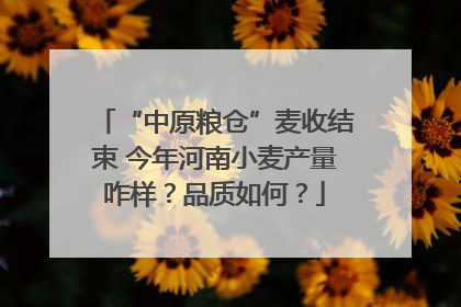 “中原粮仓”麦收结束 今年河南小麦产量咋样？品质如何？