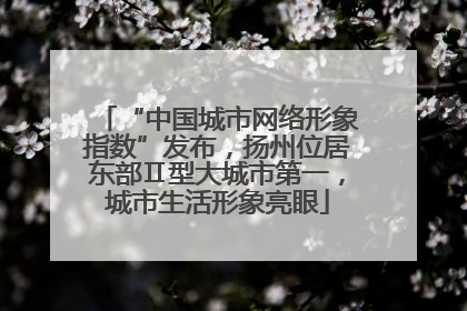 “中国城市网络形象指数”发布，扬州位居东部Ⅱ型大城市第一，城市生活形象亮眼