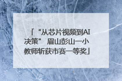 “从芯片视频到AI决策” 眉山彭山一小教师斩获市赛一等奖