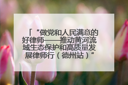“做党和人民满意的好律师——推动黄河流域生态保护和高质量发展律师行（德州站）”活动成功举办