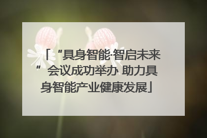 “具身智能·智启未来”会议成功举办 助力具身智能产业健康发展