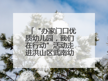 “办家门口优质幼儿园，我们在行动”活动走进洪山区武南幼儿园童趣园