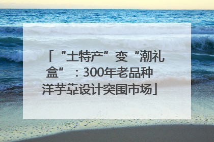 “土特产”变“潮礼盒”：300年老品种洋芋靠设计突围市场