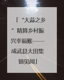 “大蒜之乡”精算乡村振兴幸福账——成武县大田集镇见闻