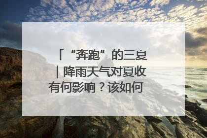 “奔跑”的三夏｜降雨天气对夏收有何影响？该如何防范？一文了解
