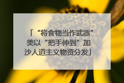“将食物当作武器” 美以“把手伸到”加沙人道主义物资分发