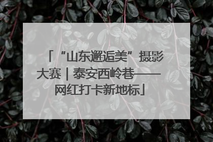 “山东邂逅美”摄影大赛｜泰安西岭巷——网红打卡新地标