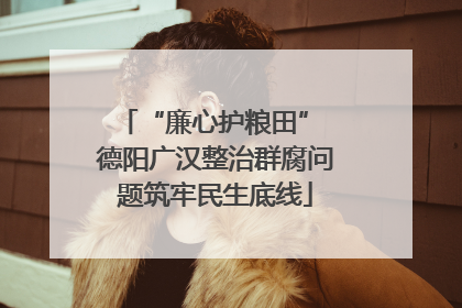“廉心护粮田” 德阳广汉整治群腐问题筑牢民生底线