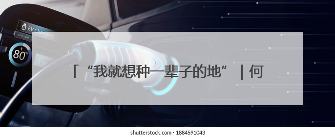 “我就想种一辈子的地”｜何以天府，我们用粮食作答②