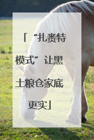 “扎赉特模式”让黑土粮仓家底更实