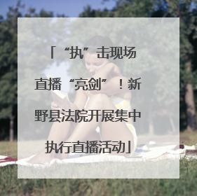 “执”击现场 直播“亮剑”！新野县法院开展集中执行直播活动