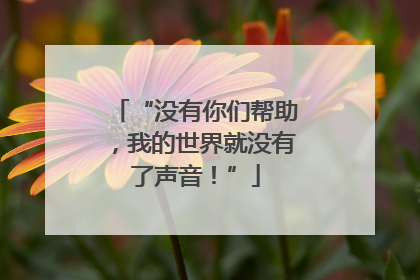 “没有你们帮助，我的世界就没有了声音！”