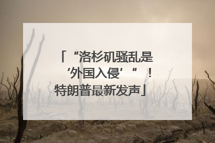 “洛杉矶骚乱是‘外国入侵’”！特朗普最新发声