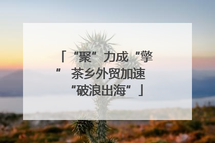 “聚”力成“擎” 茶乡外贸加速“破浪出海”
