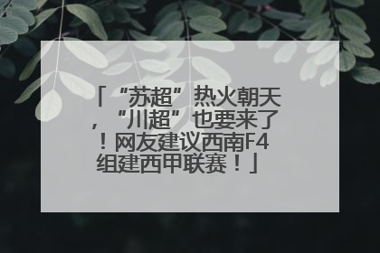 “苏超”热火朝天，“川超”也要来了！网友建议西南F4组建西甲联赛！