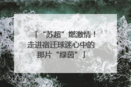 “苏超”燃激情！走进宿迁球迷心中的那片“绿茵”