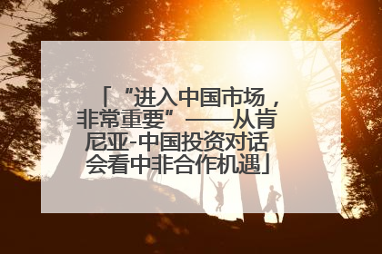 “进入中国市场，非常重要”——从肯尼亚-中国投资对话会看中非合作机遇