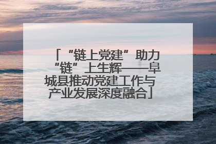 “链上党建”助力“链”上生辉——阜城县推动党建工作与产业发展深度融合