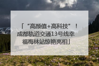 “高颜值+高科技”！成都轨道交通13号线幸福梅林站惊艳亮相