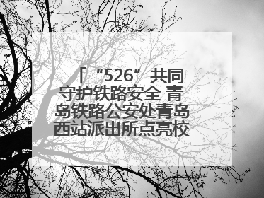 “526”共同守护铁路安全 青岛铁路公安处青岛西站派出所点亮校园爱路之光