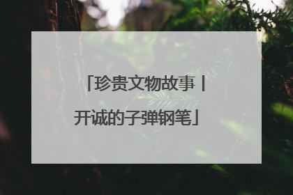 珍贵文物故事丨开诚的子弹钢笔