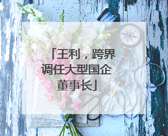 王利，跨界调任大型国企董事长