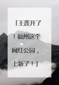 王莲开了！福州这个网红公园，上新了！