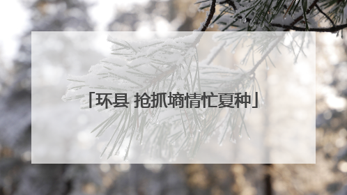 环县 抢抓墒情忙夏种