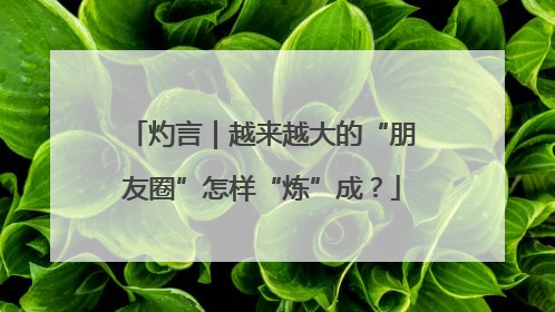 灼言｜越来越大的“朋友圈”怎样“炼”成？