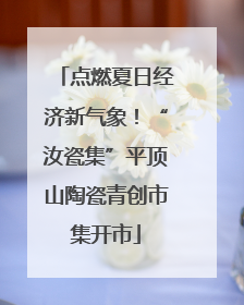 点燃夏日经济新气象！“汝瓷集”平顶山陶瓷青创市集开市