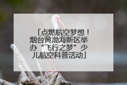 点燃航空梦想！烟台黄渤海新区举办“飞行之梦”少儿航空科普活动