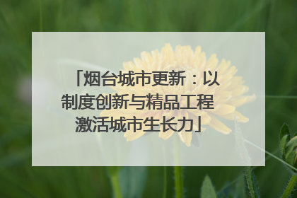 烟台城市更新：以制度创新与精品工程激活城市生长力