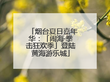 烟台夏日嘉年华：「闹海·拳击狂欢季」登陆黄海游乐城