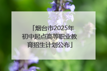烟台市2025年初中起点高等职业教育招生计划公布