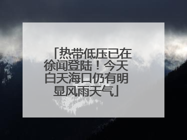 热带低压已在徐闻登陆！今天白天海口仍有明显风雨天气