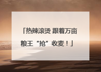 热辣滚烫 跟着万亩粮王“抢”收麦！